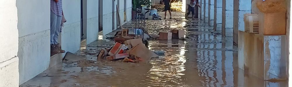 Emergenza alluvione, piattaforma richiesta risarcimenti